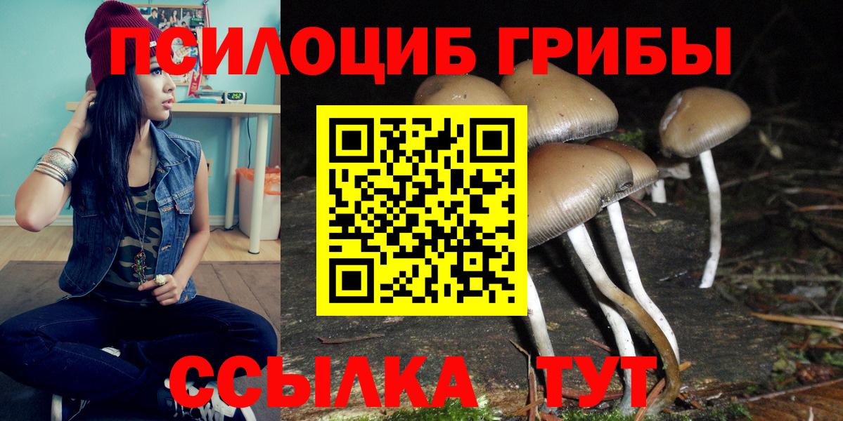 Галлюциногенные грибы мицелий  Псилоцибиновые грибы MAGIC MUSHROOMS  Кашира  Вход с VPN 